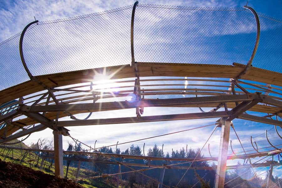 Sunny day at the alpine coaster in Rocky Mountain Coaster