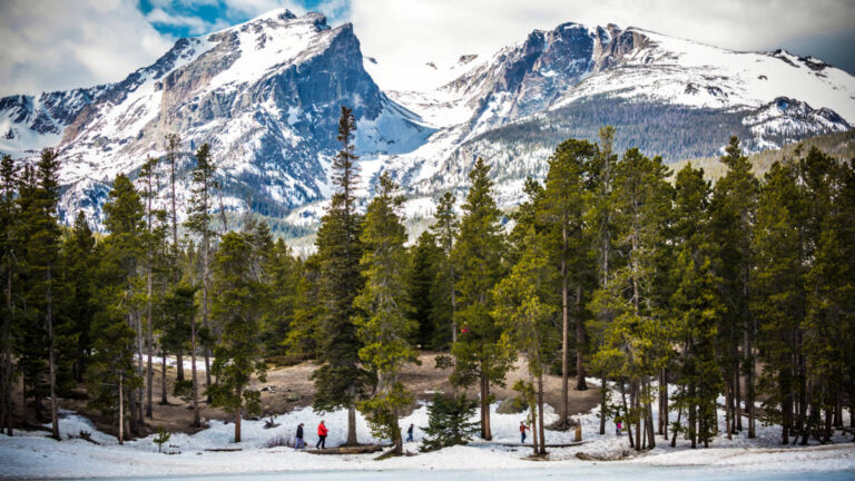 Panoramic view of the snow covered mountains and the the pine trees below in Rocky Mountain National Park