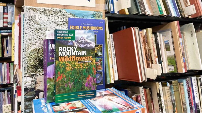 A book of Rocky Mountain Wildflowers and the several books displayed on the shelves