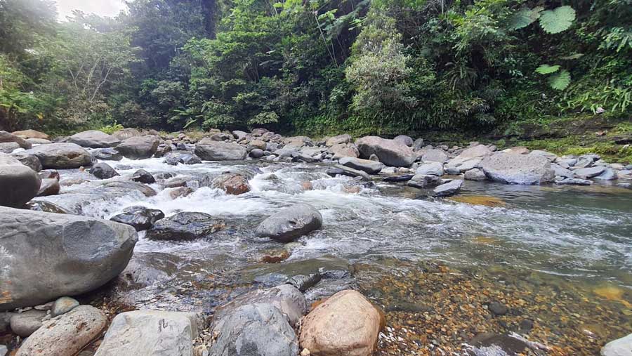 Water running into a rocky river in El Yunque