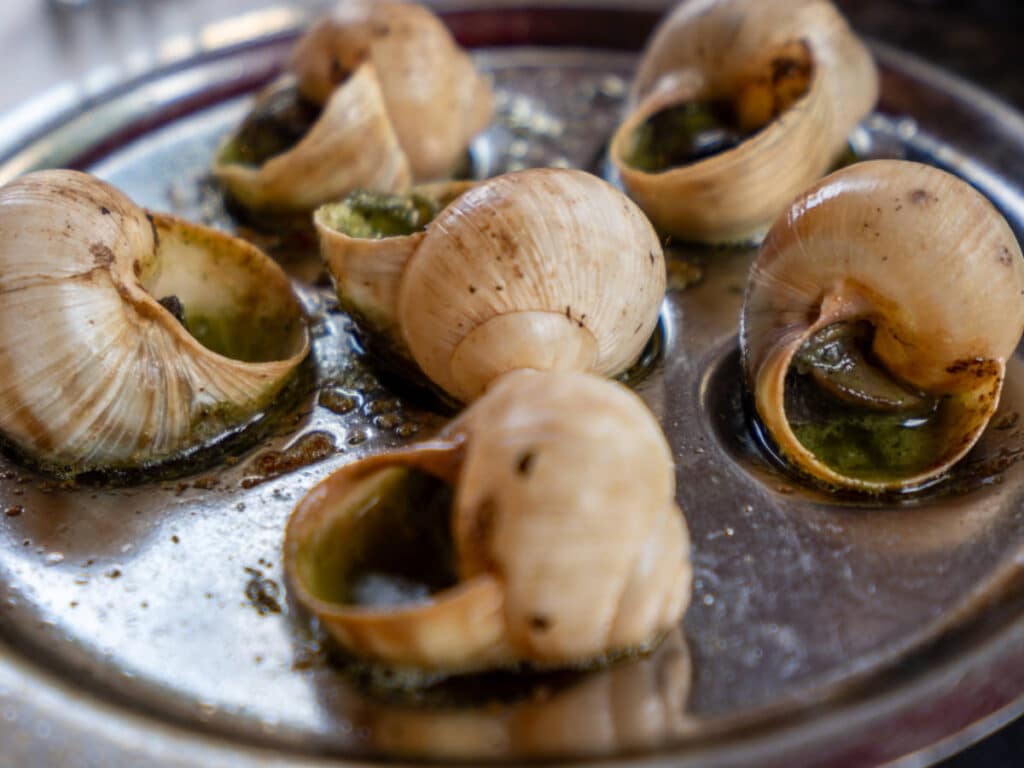 Snails served at Roger la Grenouille