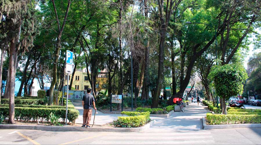 View of a street in Roma neighborhood filled with trees