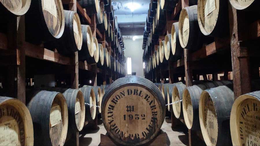 View of barrels of Ron del Barrilito
