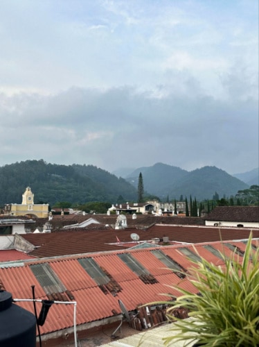 Calming view from the rooftop terrace at Antigua Brewing Company 