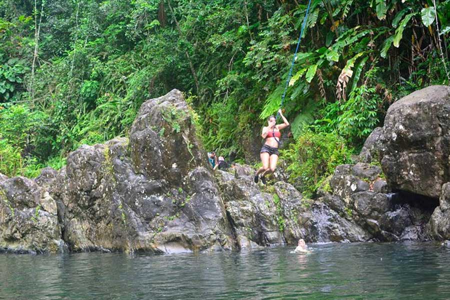 A woman holding tight on a rope swing in El Yunque