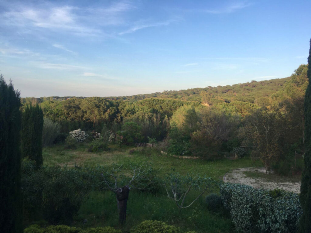 A rural landscape in Ramatuelle filled with greeneries