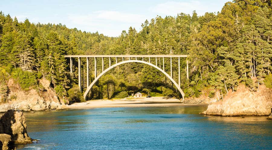 View of the bridge and the redwood forest in Russian Gulch State Park