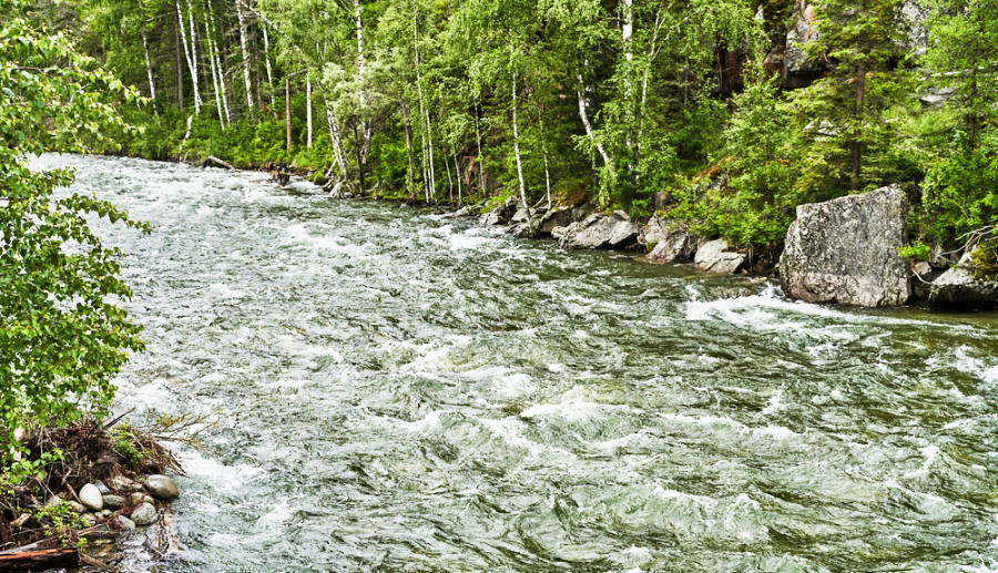 View of the rushing Russian river in Northern California