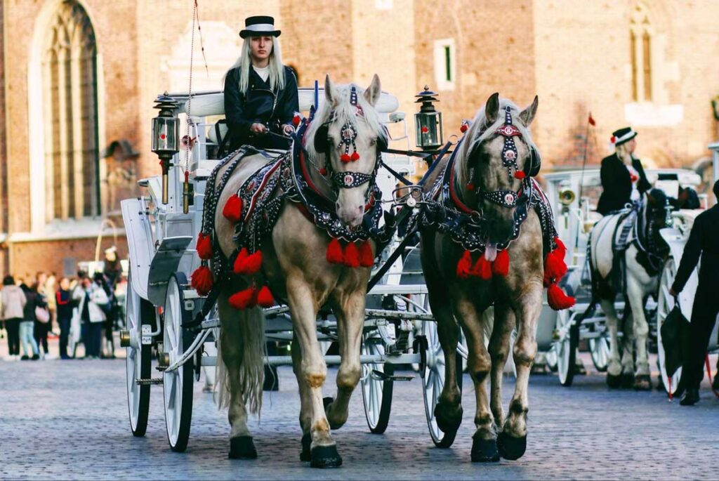 A horse carriage at the Rynek Główny