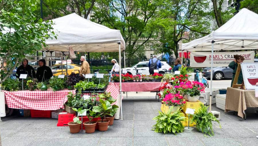 View of the plant booths at the SOAR Farmers Market