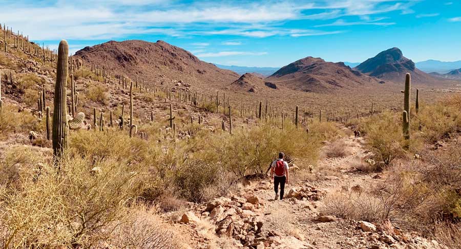 A man going on a hike in Saguaro National Park