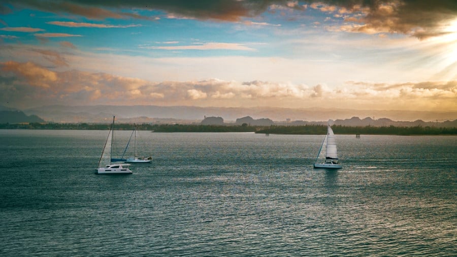 View of sailboats sailing in San Juan Bay at sunset