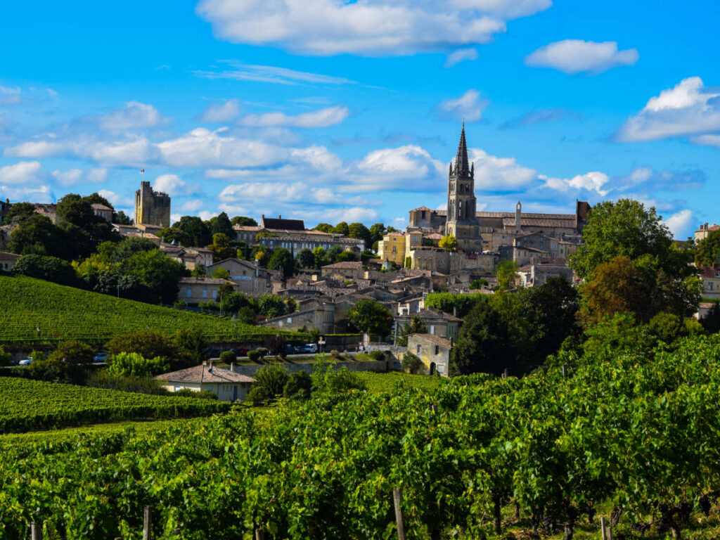 Overlooking view of a vineyard in Saint-Émilion