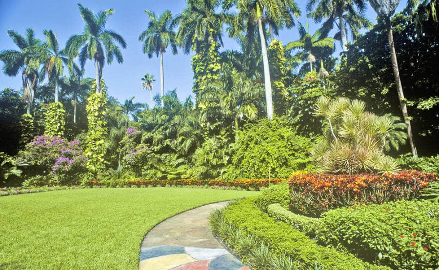View of the pathway surrounded by the botanical garden at Saint Petersburg Sunken Gardens.