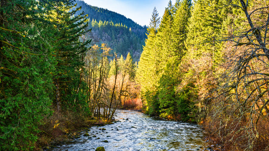 View of the Salmon River surrounded by fall foliage