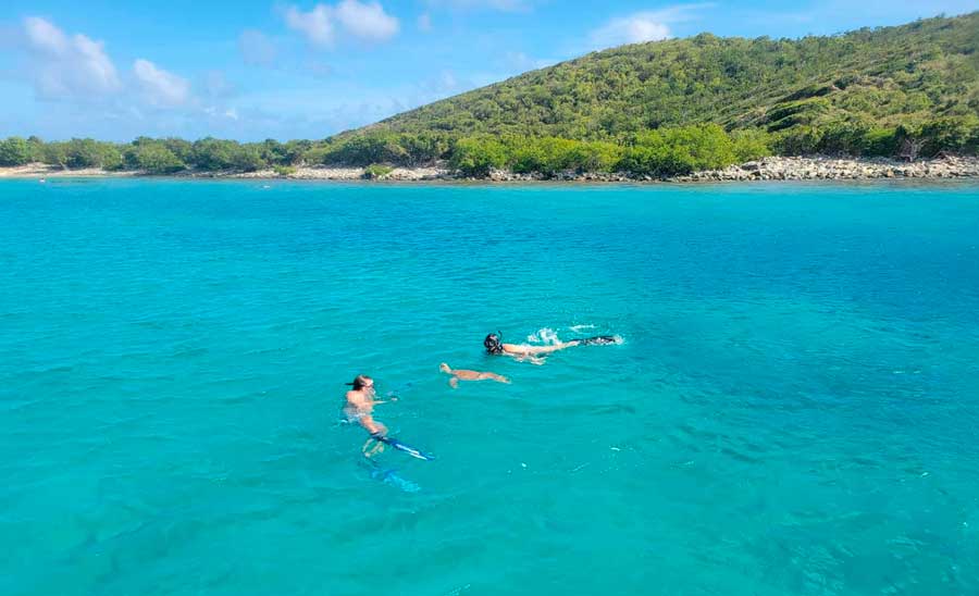 View of people swimming with the sea turtle in Salt Pond Bay