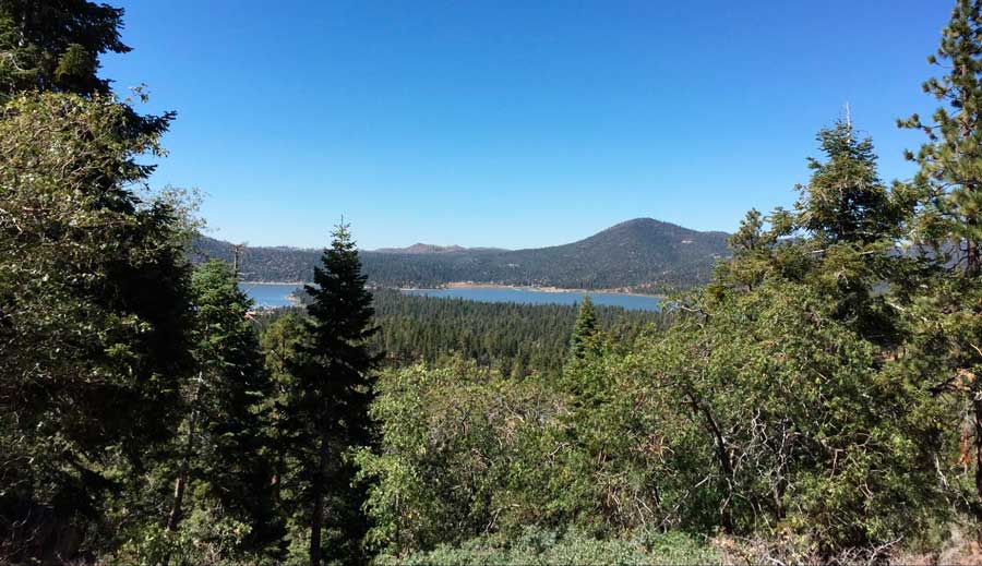View during a hike in San Bernardino National Forest