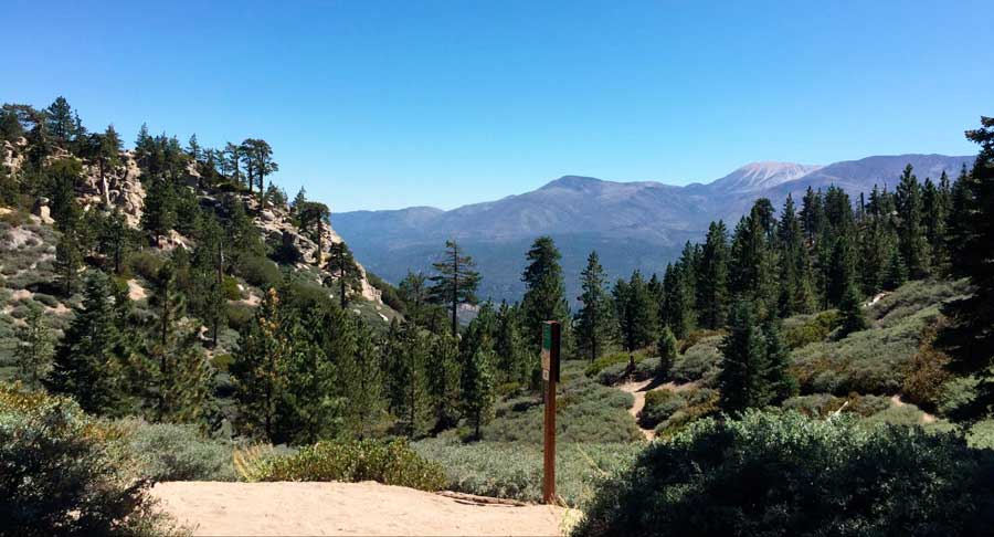The author's view during her hike in San Bernardino National Forest