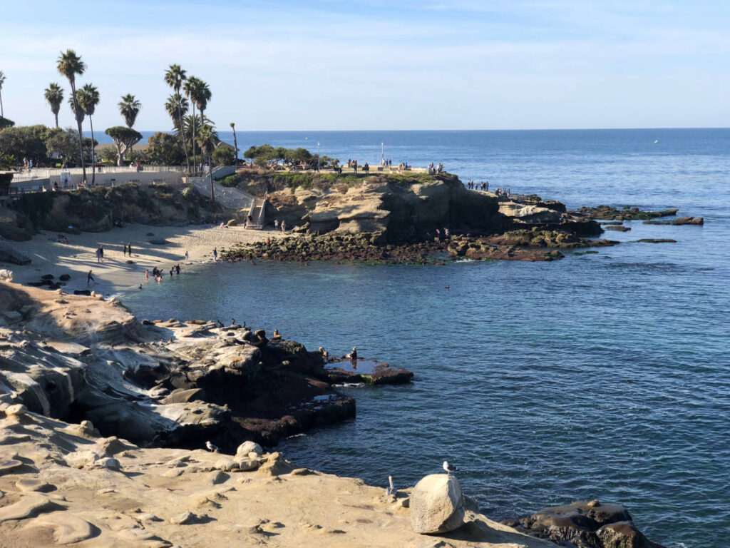 Overlooking view of the  beach