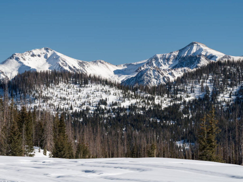 Clear blue sky over the snowy San Juan Mountain