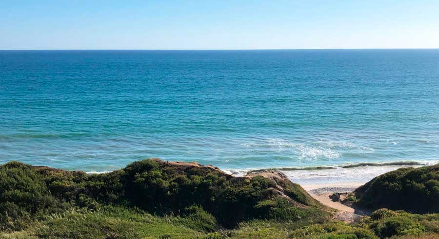 View of the clear blue sky and the blue water in San Onofre Beach