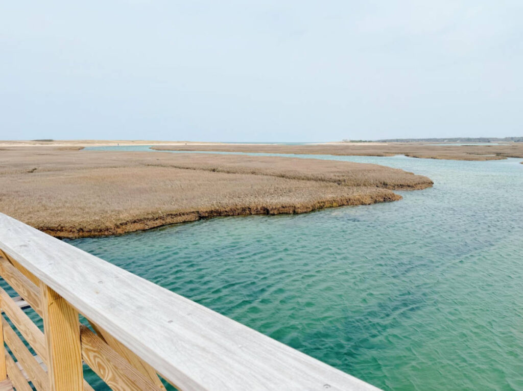 View from the Sandwich Boardwalk