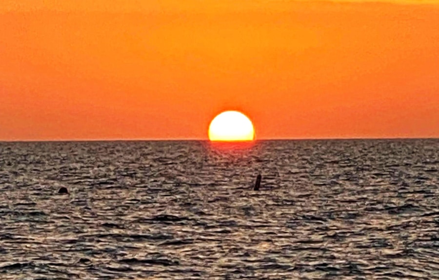 View of the colorful sky during sunset in Sanibel Island