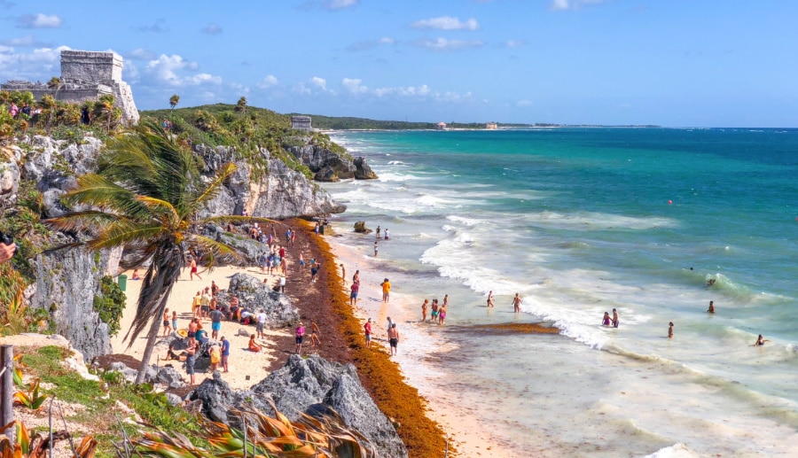 Sargassum along the beach beneath the Tulum ruins