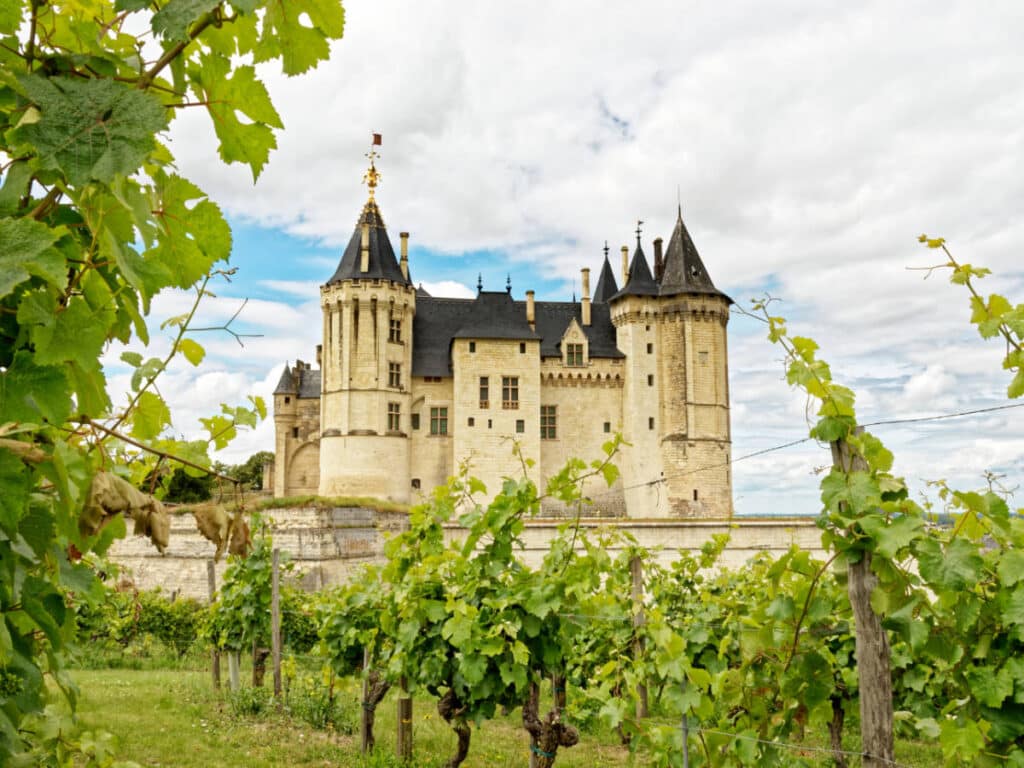The Saumur Castle from afar and a vineyard