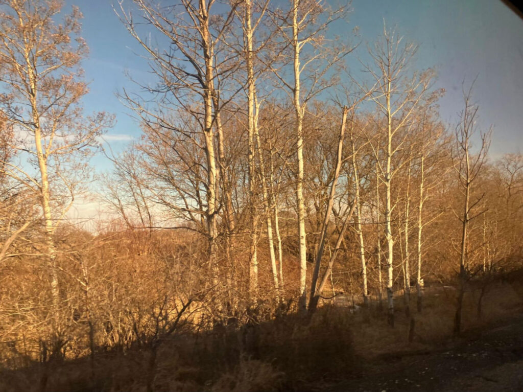View of the Scenery along the Borealis route