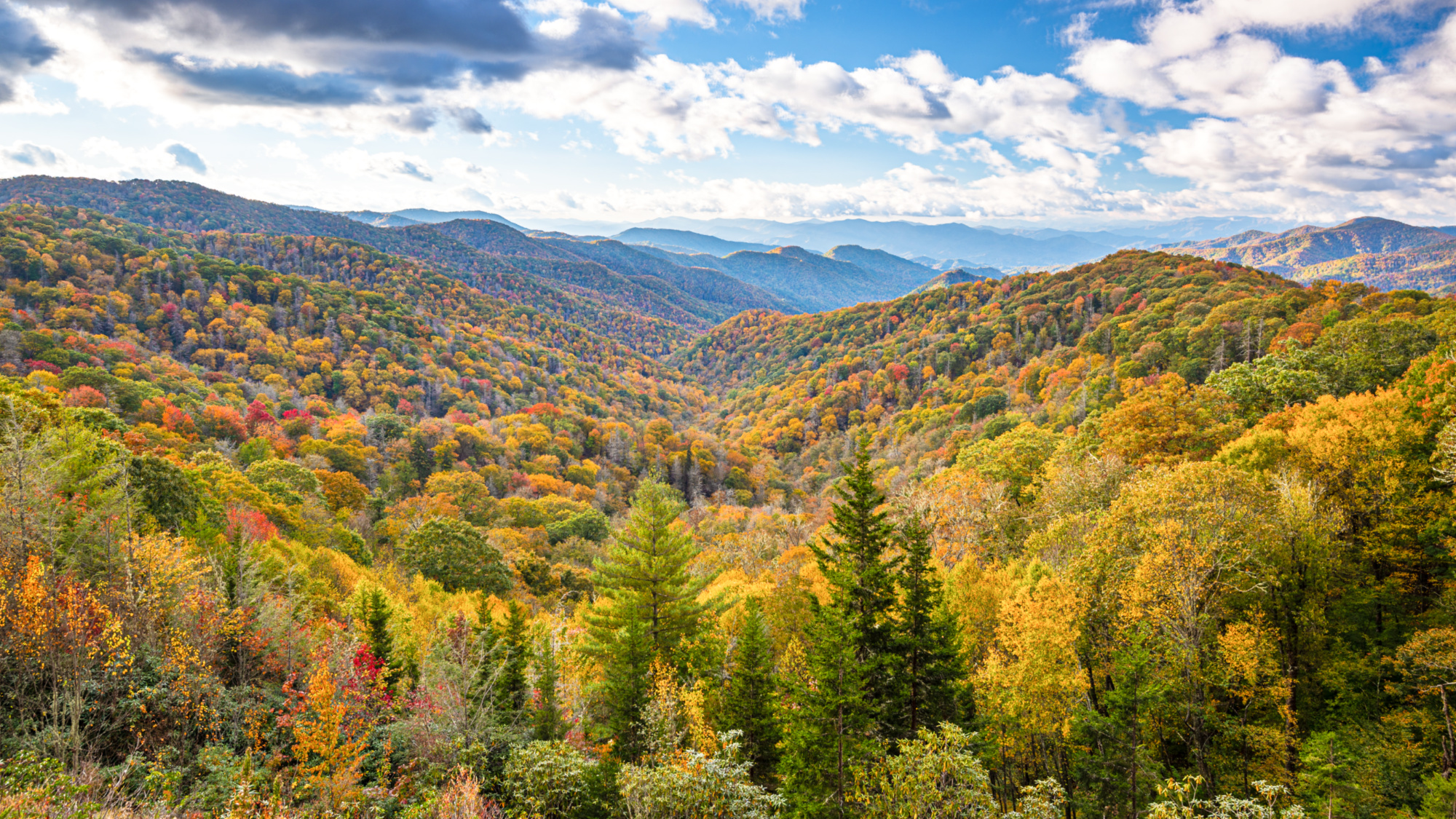 View of the Great Smoky Mountains National Park during Autumn