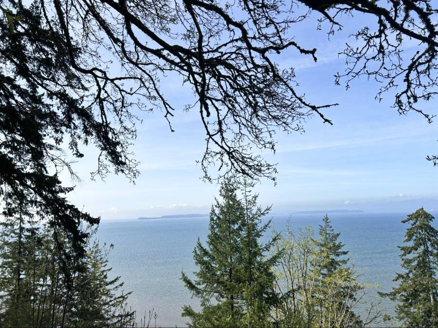 Scenic view from the Chuckanut Drive