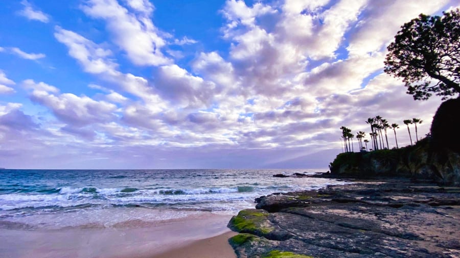View of the beautiful purple skies at Shaw’s Cove