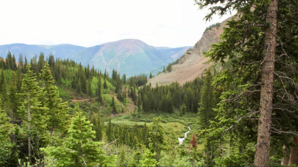 View of the lush scenery from the trail to Cathedral Lake