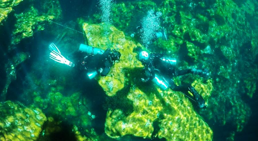 View of two scuba divers under the sea