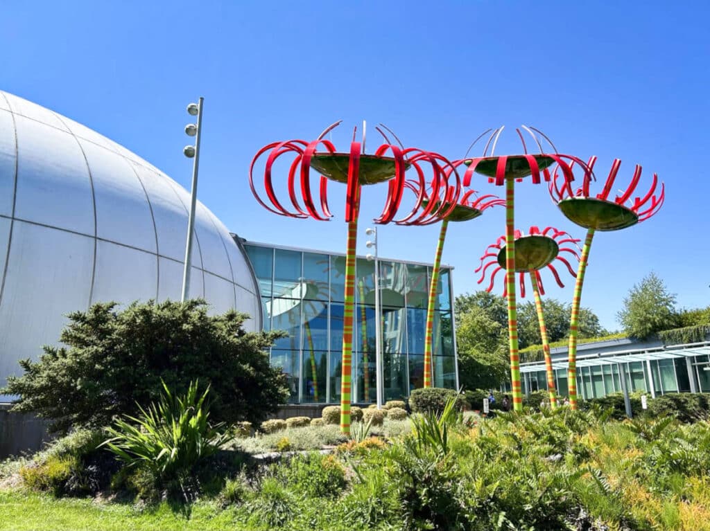 View of theunique flower-shaped sculptures