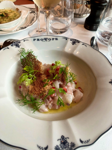 A plate of sea bream tartare from Le Procope