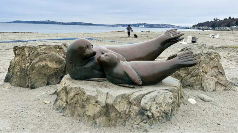 Sea lion sculptures at the beach