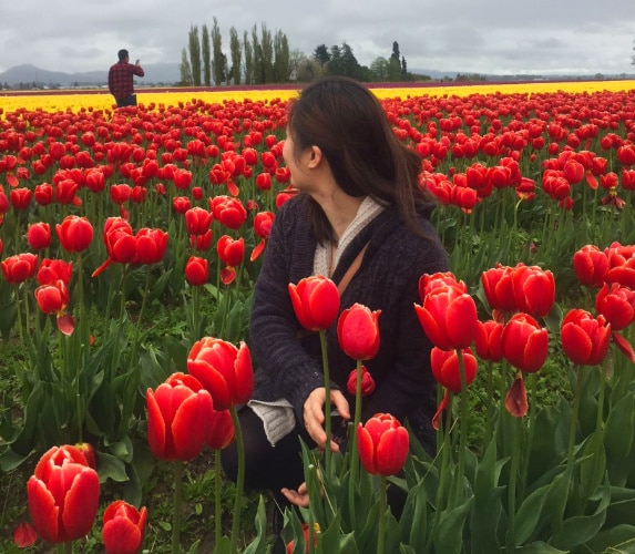 View of woman picking tulips in the Skagit Valley