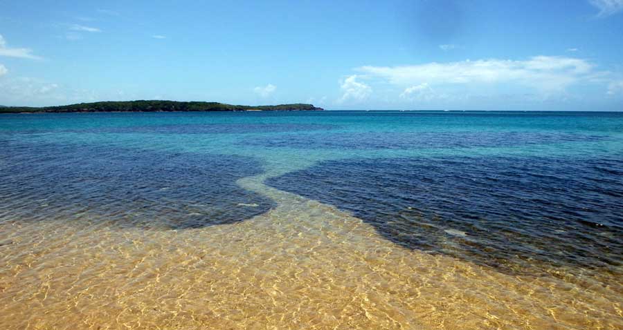 View of a seaweed pathways in Seven Seas Beach