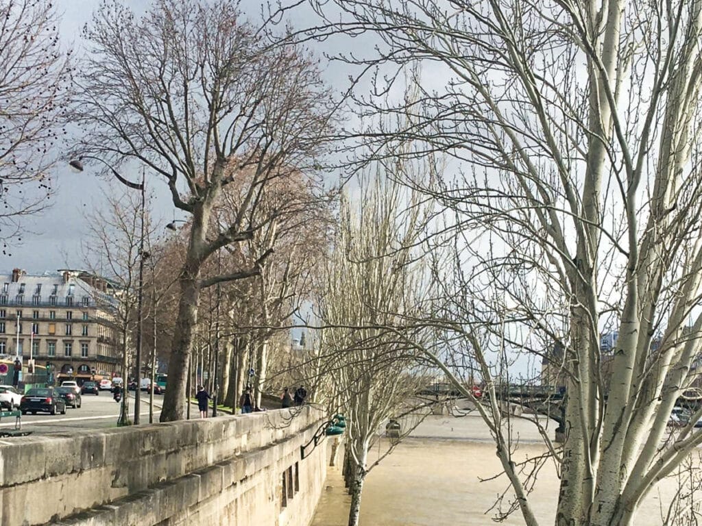 View of the Seine River in winter