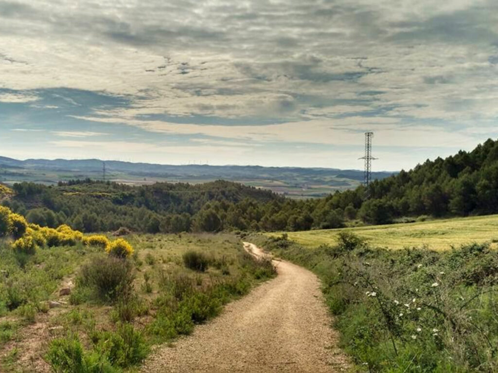 A dirt road pathway at the Camino
