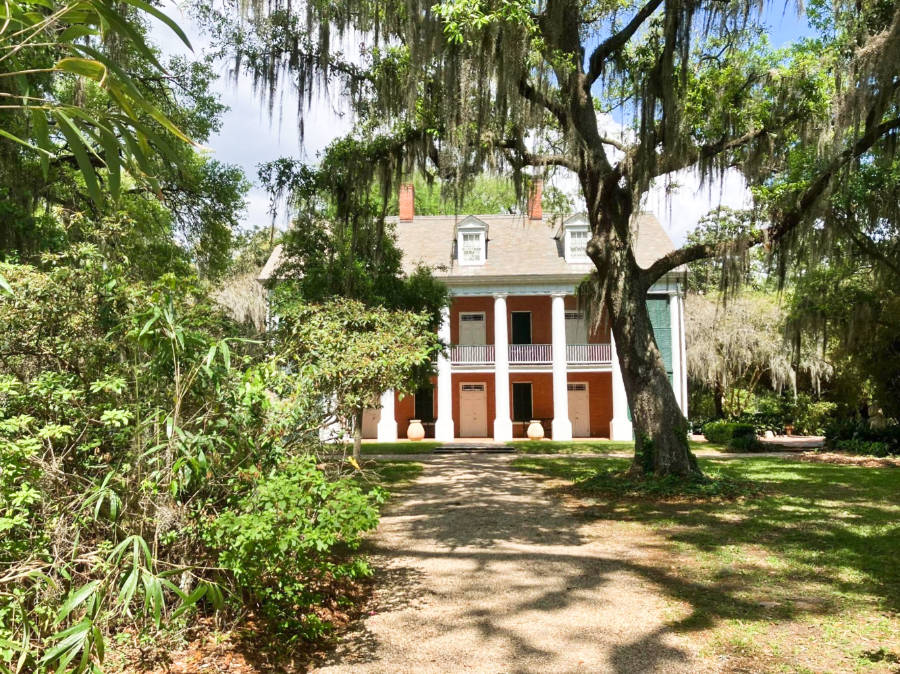 Panoramic view of the Shadows on the Teche plantation surrounded by greenery in New Iberia