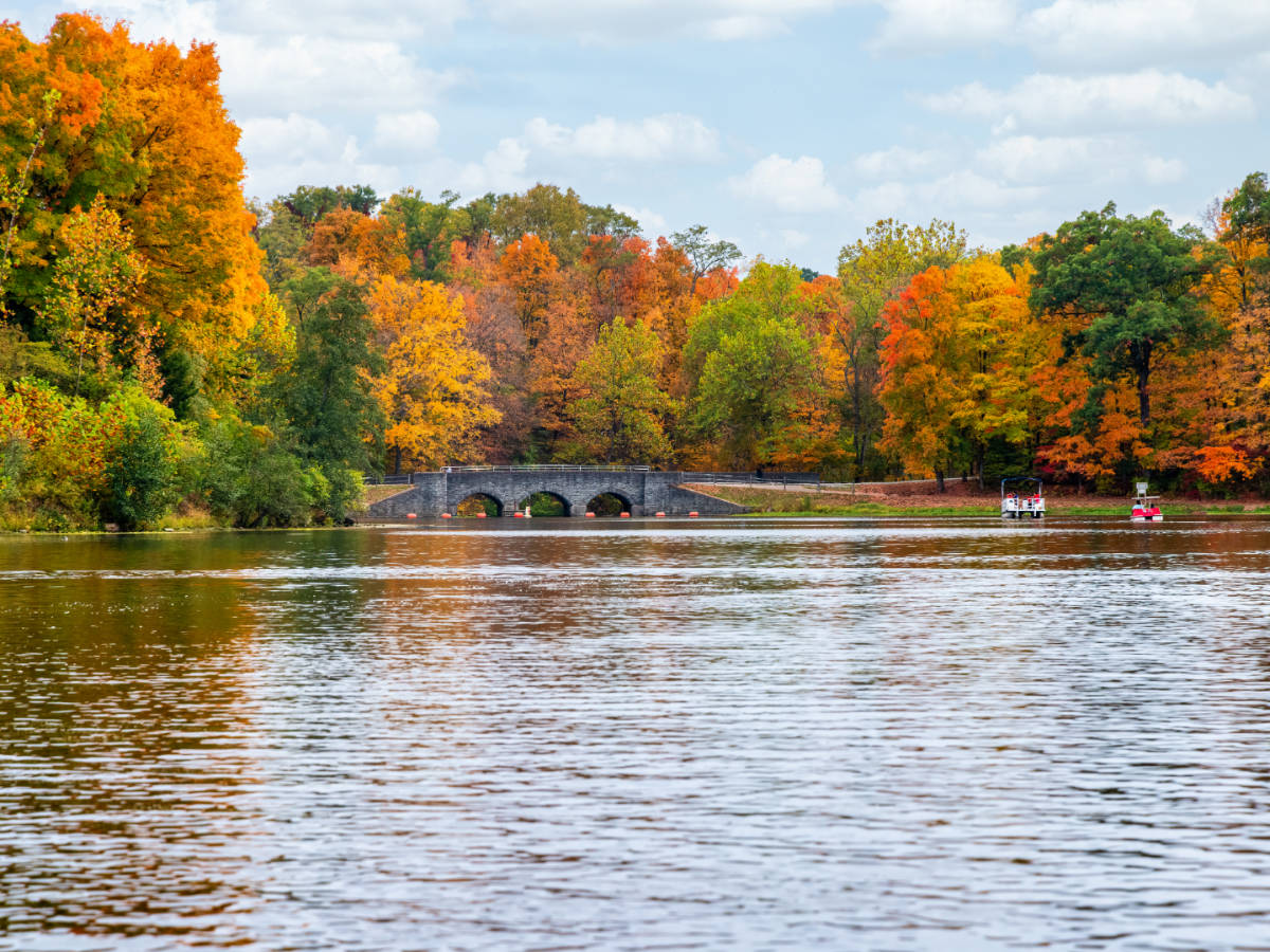 View at Sharon Woods Park during fall season