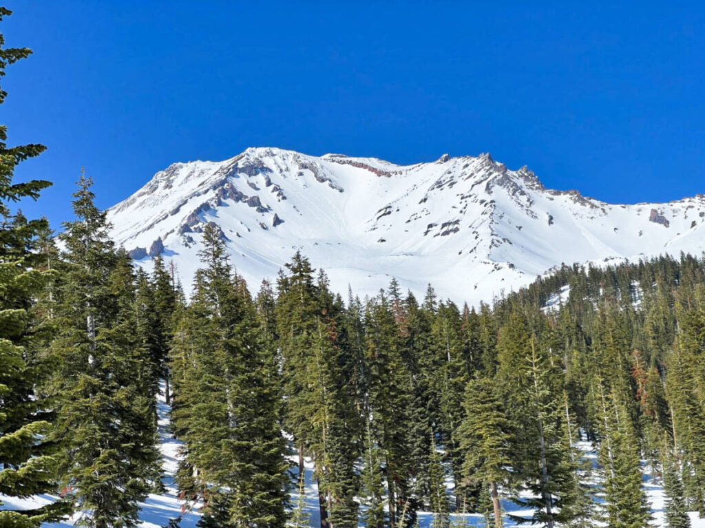 View of the peaks of Mount Shasta from the rainforest of Shasta-Trinity National Forest