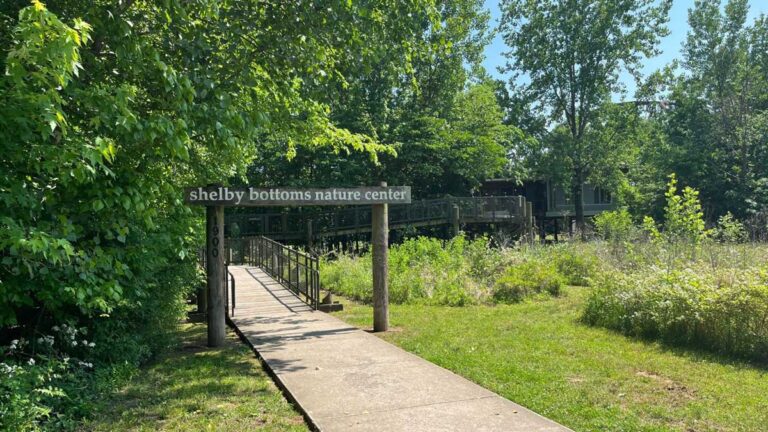 Relaxing view from Shelby Bottoms Nature Center