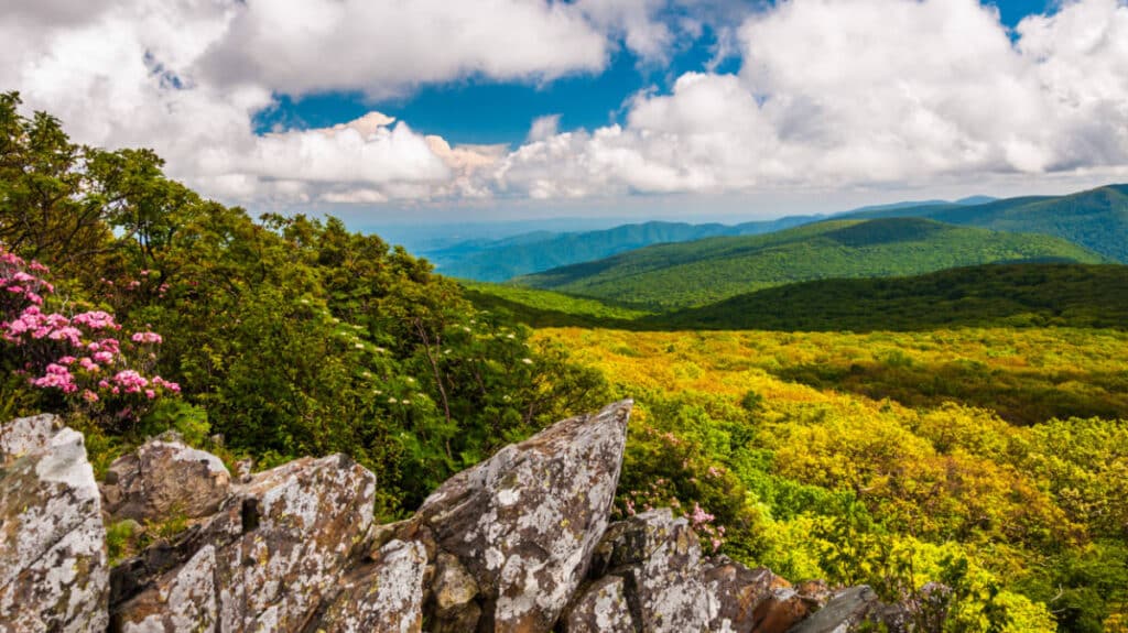 Scenic view at the Shenandoah National Park in Virginia