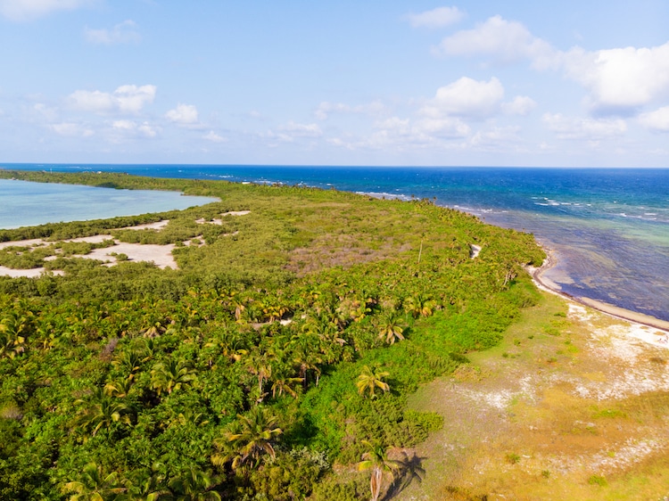 Aerial view of Sian Kaan Biosphere Reserve