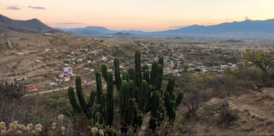Overlooking view of the town from the Sierra Norte viewpoint with cacti in the foreground during sunset