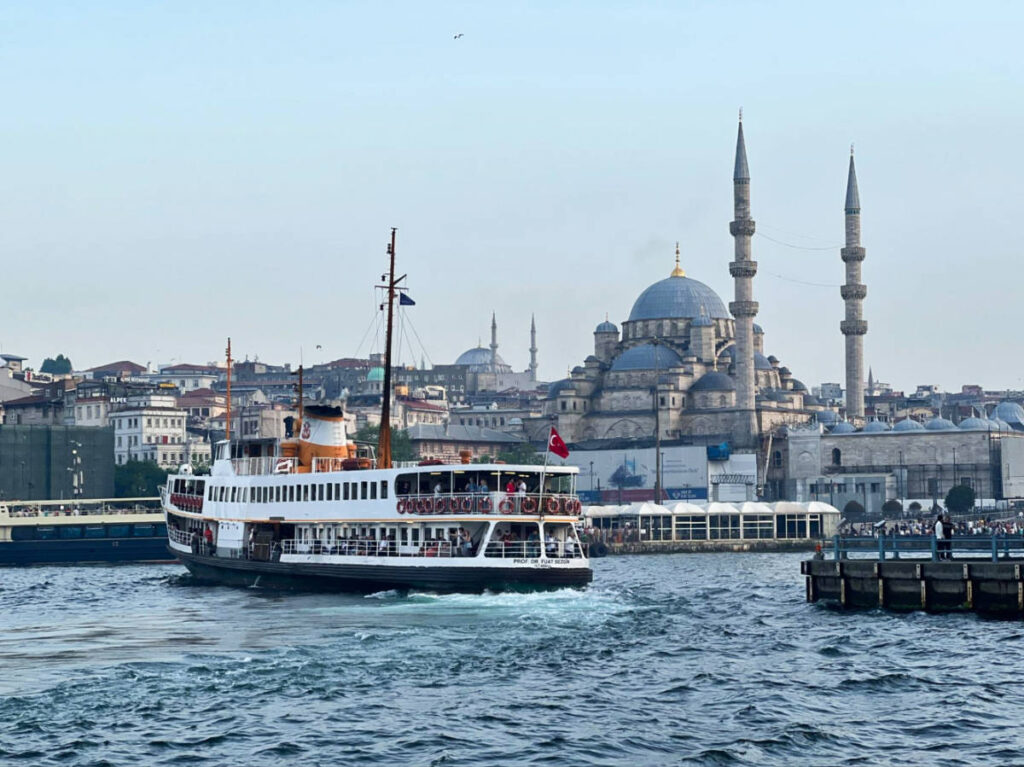 View of the sightseeing cruise with the Fatih Mosque in the background